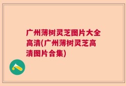 广州薄树灵芝图片大全高清(广州薄树灵芝高清图片合集)