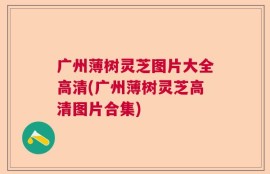 广州薄树灵芝图片大全高清(广州薄树灵芝高清图片合集)