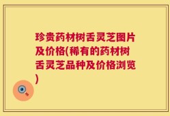 珍贵药材树舌灵芝图片及价格(稀有的药材树舌灵芝品种及价格浏览)