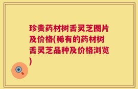 珍贵药材树舌灵芝图片及价格(稀有的药材树舌灵芝品种及价格浏览)