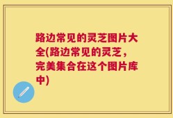 路边常见的灵芝图片大全(路边常见的灵芝，完美集合在这个图片库中)