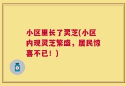 小区里长了灵芝(小区内现灵芝繁盛，居民惊喜不已！)