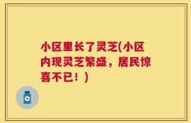 小区里长了灵芝(小区内现灵芝繁盛，居民惊喜不已！)