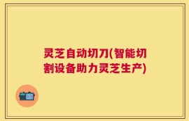 灵芝自动切刀(智能切割设备助力灵芝生产)