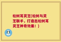 松树耳灵芝(松树与灵芝联手，打造出松树耳灵芝神奇效果！)