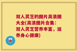 双人灵芝的图片高清图大全(高清图片合集：双人灵芝营养丰富，滋养身心健康)