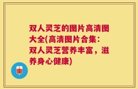 双人灵芝的图片高清图大全(高清图片合集：双人灵芝营养丰富，滋养身心健康)