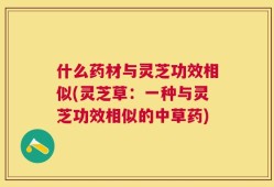 什么药材与灵芝功效相似(灵芝草：一种与灵芝功效相似的中草药)