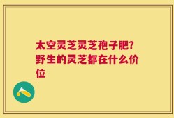 太空灵芝灵芝孢子肥？野生的灵芝都在什么价位