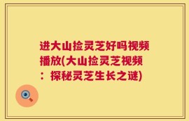 进大山捡灵芝好吗视频播放(大山捡灵芝视频：探秘灵芝生长之谜)