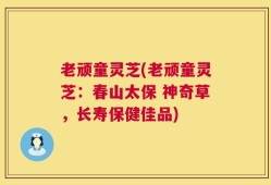 老顽童灵芝(老顽童灵芝：春山太保 神奇草，长寿保健佳品)