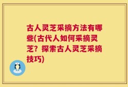 古人灵芝采摘方法有哪些(古代人如何采摘灵芝？探索古人灵芝采摘技巧)