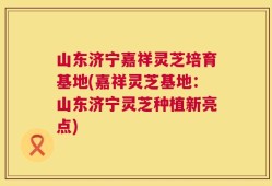 山东济宁嘉祥灵芝培育基地(嘉祥灵芝基地：山东济宁灵芝种植新亮点)