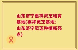 山东济宁嘉祥灵芝培育基地(嘉祥灵芝基地：山东济宁灵芝种植新亮点)