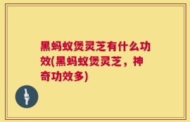 黑蚂蚁煲灵芝有什么功效(黑蚂蚁煲灵芝，神奇功效多)