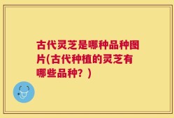 古代灵芝是哪种品种图片(古代种植的灵芝有哪些品种？)