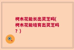 栲木花能长出灵芝吗(栲木花能培育出灵芝吗？)