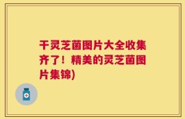 干灵芝菌图片大全收集齐了！精美的灵芝菌图片集锦)