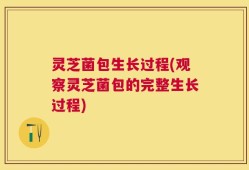 灵芝菌包生长过程(观察灵芝菌包的完整生长过程)