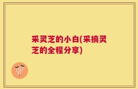 采灵芝的小白(采摘灵芝的全程分享)