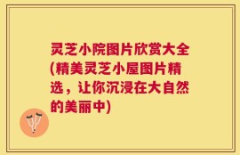 灵芝小院图片欣赏大全(精美灵芝小屋图片精选，让你沉浸在大自然的美丽中)