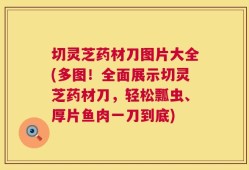 切灵芝药材刀图片大全(多图！全面展示切灵芝药材刀，轻松瓢虫、厚片鱼肉一刀到底)