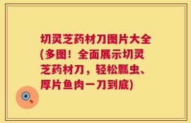 切灵芝药材刀图片大全(多图！全面展示切灵芝药材刀，轻松瓢虫、厚片鱼肉一刀到底)
