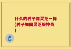 什么的种子像灵芝一样(种子如同灵芝般神奇)