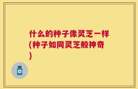 什么的种子像灵芝一样(种子如同灵芝般神奇)
