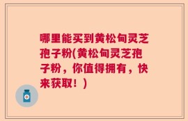 哪里能买到黄松甸灵芝孢子粉(黄松甸灵芝孢子粉，你值得拥有，快来获取！)