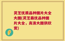 灵芝优质品种图片大全大图(灵芝最优品种图片大全，高清大图供欣赏)