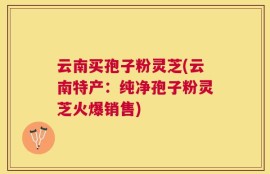 云南买孢子粉灵芝(云南特产：纯净孢子粉灵芝火爆销售)