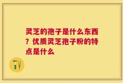 灵芝的孢子是什么东西？优质灵芝孢子粉的特点是什么