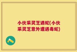 小伙采灵芝遇蛇(小伙采灵芝意外遭遇毒蛇)