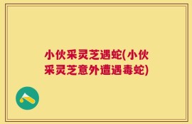小伙采灵芝遇蛇(小伙采灵芝意外遭遇毒蛇)