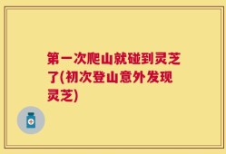 第一次爬山就碰到灵芝了(初次登山意外发现灵芝)