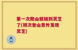 第一次爬山就碰到灵芝了(初次登山意外发现灵芝)