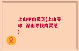 上山挖肉灵芝(上山寻珍  深山寻找肉灵芝)