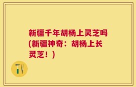 新疆千年胡杨上灵芝吗(新疆神奇：胡杨上长灵芝！)