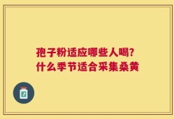 孢子粉适应哪些人喝？什么季节适合采集桑黄