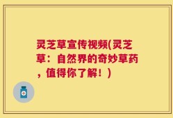 灵芝草宣传视频(灵芝草：自然界的奇妙草药，值得你了解！)