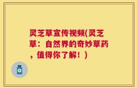 灵芝草宣传视频(灵芝草：自然界的奇妙草药，值得你了解！)
