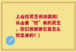 上山挖灵芝说说搞笑(从山里“挖”来的灵芝，你们想猜猜它是怎么挖出来的？)
