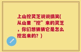 上山挖灵芝说说搞笑(从山里“挖”来的灵芝，你们想猜猜它是怎么挖出来的？)