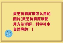 灵芝抗衰原液怎么用的图片(灵芝抗衰原液使用方法详解，科学补水自然降龄！)