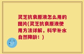 灵芝抗衰原液怎么用的图片(灵芝抗衰原液使用方法详解，科学补水自然降龄！)