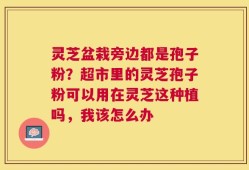 灵芝盆栽旁边都是孢子粉？超市里的灵芝孢子粉可以用在灵芝这种植吗，我该怎么办