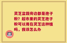 灵芝盆栽旁边都是孢子粉？超市里的灵芝孢子粉可以用在灵芝这种植吗，我该怎么办