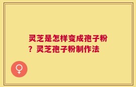 灵芝是怎样变成孢子粉？灵芝孢子粉制作法