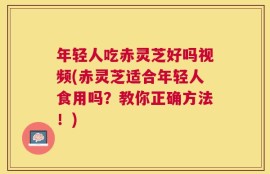 年轻人吃赤灵芝好吗视频(赤灵芝适合年轻人食用吗？教你正确方法！)